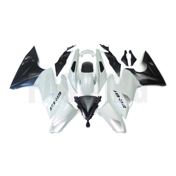 motorcycle-fairings-for-kawasaki-ninja-650-2009-2010-2011-front-fw-mf30201 - Faswing